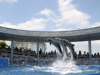 【水族館うみたまごチケット付き】■地産地消の朝食付き■日出天然温泉の展望大浴場でリフレッシュ！